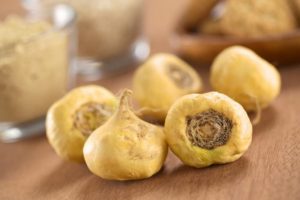 Maca Knolle
