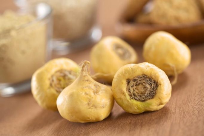 Maca Knolle