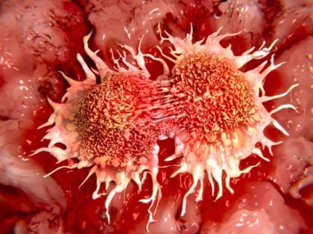 Tumor Terminator