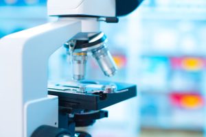 Bakterien in Chip verpflanzen